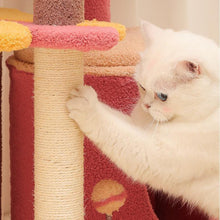 Load image into Gallery viewer, Calorie Cat Climbing Frame - San Frenchie