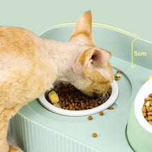 Load image into Gallery viewer, Bear Shaped Bone China Cat Bowl - San Frenchie