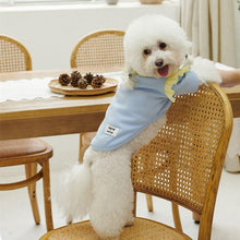 Load image into Gallery viewer, Cream Color Lace Pet Shirt - San Frenchie
