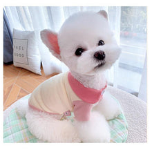 Load image into Gallery viewer, Cloudy Face Collar Pet Shirt - San Frenchie