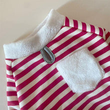 Load image into Gallery viewer, Holiday Red Stripes with Scarf for Pets - San Frenchie