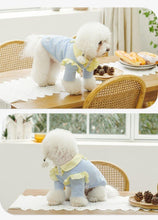 Load image into Gallery viewer, Cream Color Lace Pet Shirt - San Frenchie