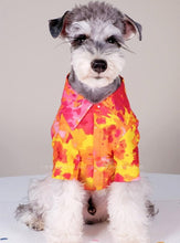 Load image into Gallery viewer, Hawaii Colorful Style Pet Shirt - San Frenchie