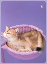 Load image into Gallery viewer, Moonlight Cat Tree - San Frenchie