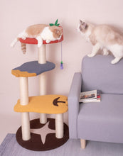 Load image into Gallery viewer, Vegetable Design Cat Climbing Frame