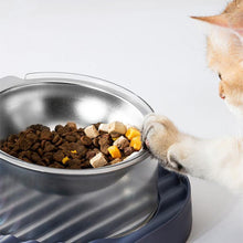 Load image into Gallery viewer, 304 Stainless Steel Transparent Pet Double Bowl - San Frenchie