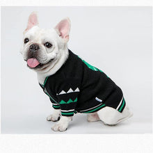 Load image into Gallery viewer, Dinosaur Styled Warm Sweater - San Frenchie