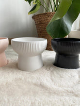 Load image into Gallery viewer, Elevated Anti-Slip Ceramic Cat Bowl - San Frenchie