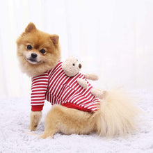 Load image into Gallery viewer, Pocket Teddy Bear Striped Dog Sweater Costume
