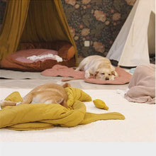 Load image into Gallery viewer, Nature Inspired Leaf Pet Mat - San Frenchie