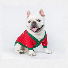 Load image into Gallery viewer, Christmas Tree Pet Sweater - San Frenchie
