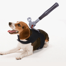 Load image into Gallery viewer, Stabbed Costume- Pet Halloween Costume - San Frenchie