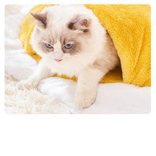 Load image into Gallery viewer, Fried Egg Closed Cat Bed - San Frenchie