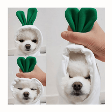 Load image into Gallery viewer, Cute Winter Pet Hoodie - San Frenchie