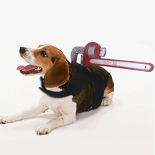 Load image into Gallery viewer, Stabbed Costume- Pet Halloween Costume - San Frenchie