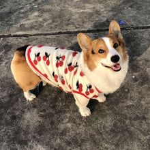 Load image into Gallery viewer, Cherry Velvet Pet Coat With Hat - San Frenchie