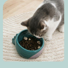 Load image into Gallery viewer, Dinosaur Tail Ceramic Dog Bowl - San Frenchie