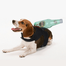 Load image into Gallery viewer, Stabbed Costume- Pet Halloween Costume - San Frenchie
