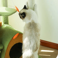 Load image into Gallery viewer, Jungle World Cat Climbing Tree