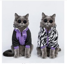 Load image into Gallery viewer, Windproof Pet Sweater
