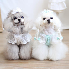 Load image into Gallery viewer, Everyone Loves Korean Style Lace Pet Dress - San Frenchie