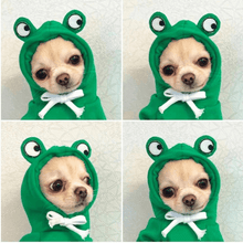 Load image into Gallery viewer, Cute Winter Pet Hoodie - San Frenchie