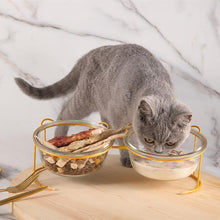Load image into Gallery viewer, Bear Ears Glass Double Pet Bowl - San Frenchie
