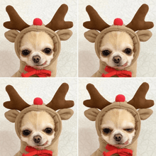 Load image into Gallery viewer, Cute Winter Pet Hoodie - San Frenchie