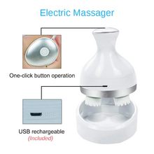 Load image into Gallery viewer, Electric Massager for Dog and Cat - San Frenchie