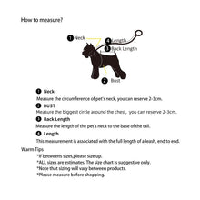 Load image into Gallery viewer, Fruit Series Pet Harness Vest & Leash - San Frenchie