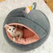 Load image into Gallery viewer, Dinosaur Series Cat Bed - San Frenchie