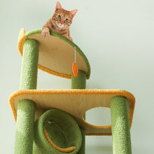 Load image into Gallery viewer, Jungle World Cat Climbing Tree