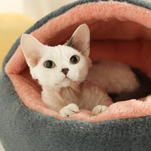 Load image into Gallery viewer, Dinosaur Series Cat Bed - San Frenchie