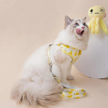 Load image into Gallery viewer, Fruit Series Pet Harness Vest & Leash - San Frenchie