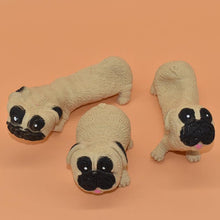 Load image into Gallery viewer, Squishy Stretchy Stress Away Toy - San Frenchie