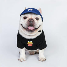 Load image into Gallery viewer, Everyday Basic Pet Cap - San Frenchie