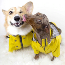 Load image into Gallery viewer, Premium Quality Raincoat for Dogs - San Frenchie