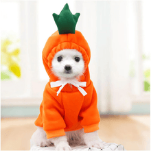 Load image into Gallery viewer, Cute Winter Pet Hoodie - San Frenchie