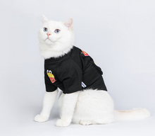 Load image into Gallery viewer, Fun Popcorn Pet Shirt
