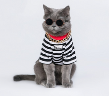 Load image into Gallery viewer, Stereo Fries Pet T-shirt