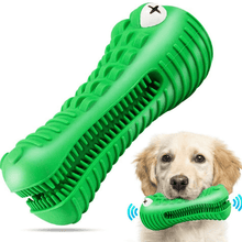 Load image into Gallery viewer, Crocodile Toothbrush and Chew Toy - San Frenchie