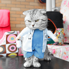 Load image into Gallery viewer, Doctor - Pet Halloween Costume - San Frenchie