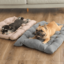 Load image into Gallery viewer, Fluffy Multifunctional Bed - San Frenchie