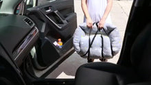 Load and play video in Gallery viewer, Pet Booster Car Seat