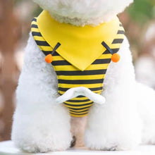 Load image into Gallery viewer, Adorable Bee Pet Harness - San Frenchie