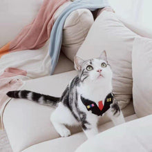 Load image into Gallery viewer, Air Captain Series Pet Harness - San Frenchie
