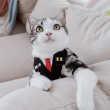 Load image into Gallery viewer, Air Captain Series Pet Harness - San Frenchie
