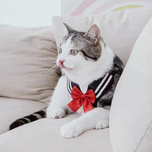 Load image into Gallery viewer, JK Series Pet Harness - San Frenchie