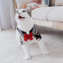 Load image into Gallery viewer, JK Series Pet Harness - San Frenchie