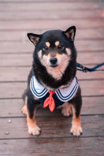 Load image into Gallery viewer, JK Series Pet Harness - San Frenchie